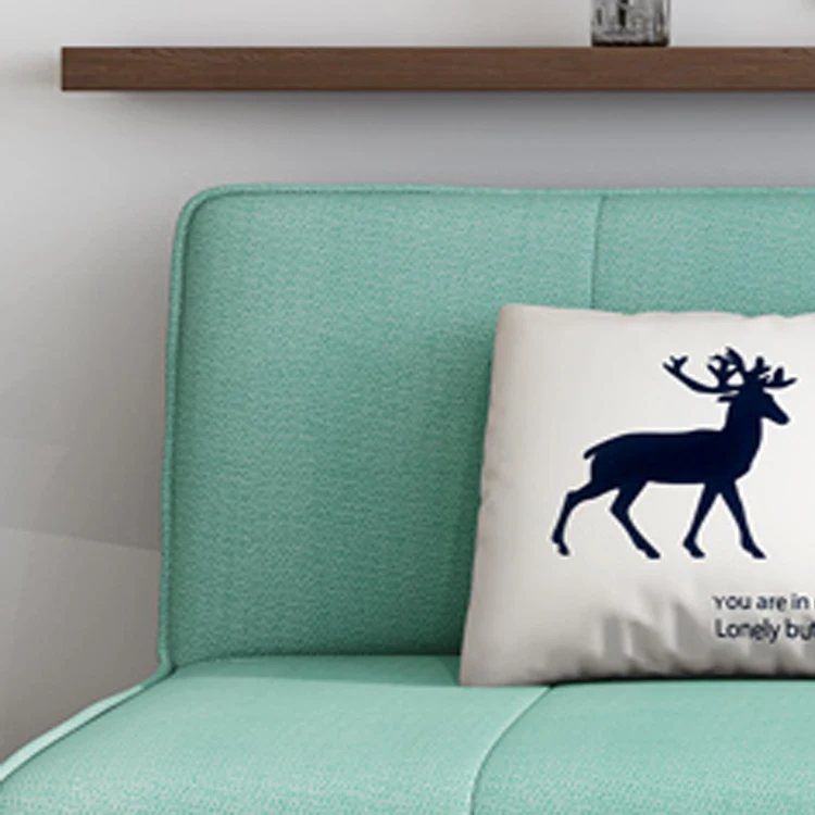 
The sitting room Furniture Modern Compact Design Green contracted fashion Sofa Bed 