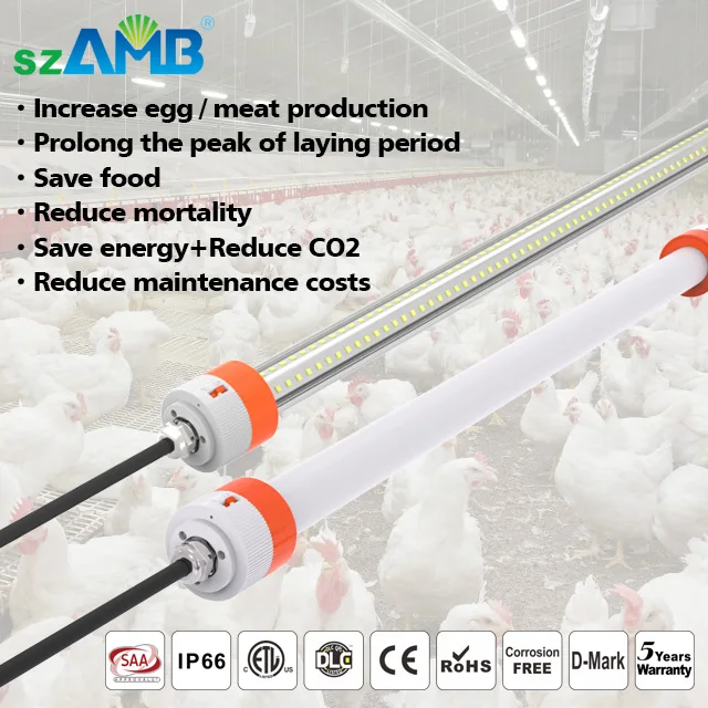IP66 Waterpoof Dimming Livestock Light Or poultry Farm LED Tube Lighting With 5 Years warranty