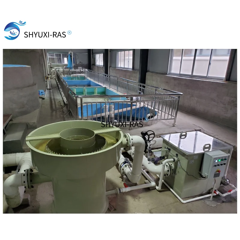 Оборудование для рыбоводства для помещений ras, для продажи, большая промышленная рециркуляция рыбы, Ферма для аквакультуры, система ras