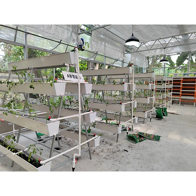 Тепличный продукт жанра Soilless Culture Technology используемый в сельскохозяйственных теплицах
