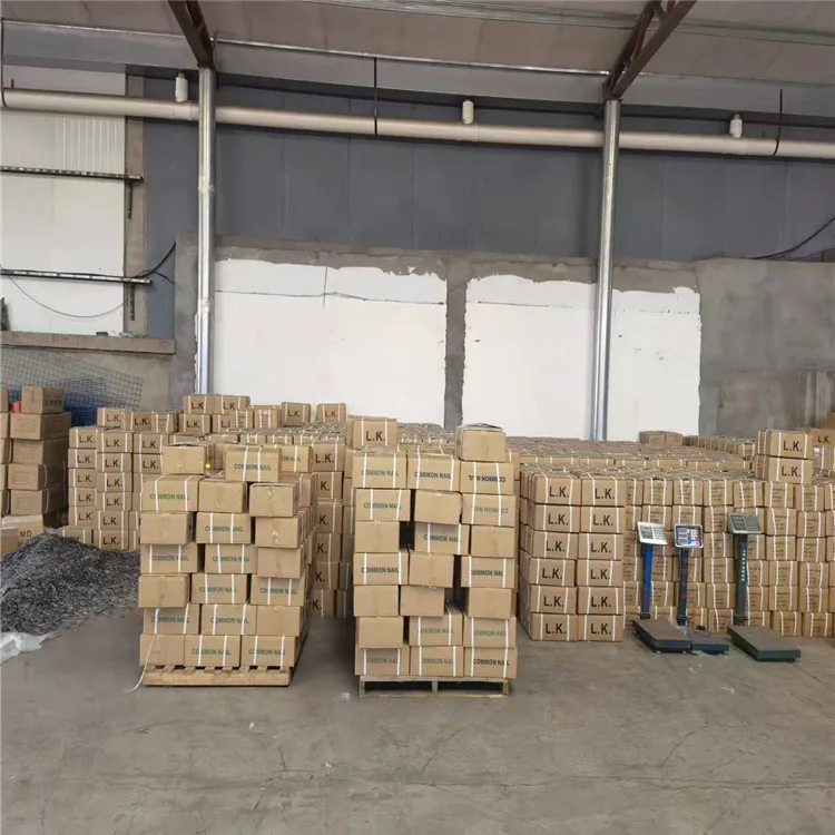 Factory direct sale competitive price customized Common Wire Nail In 5kg Box construction wire nails for wide range