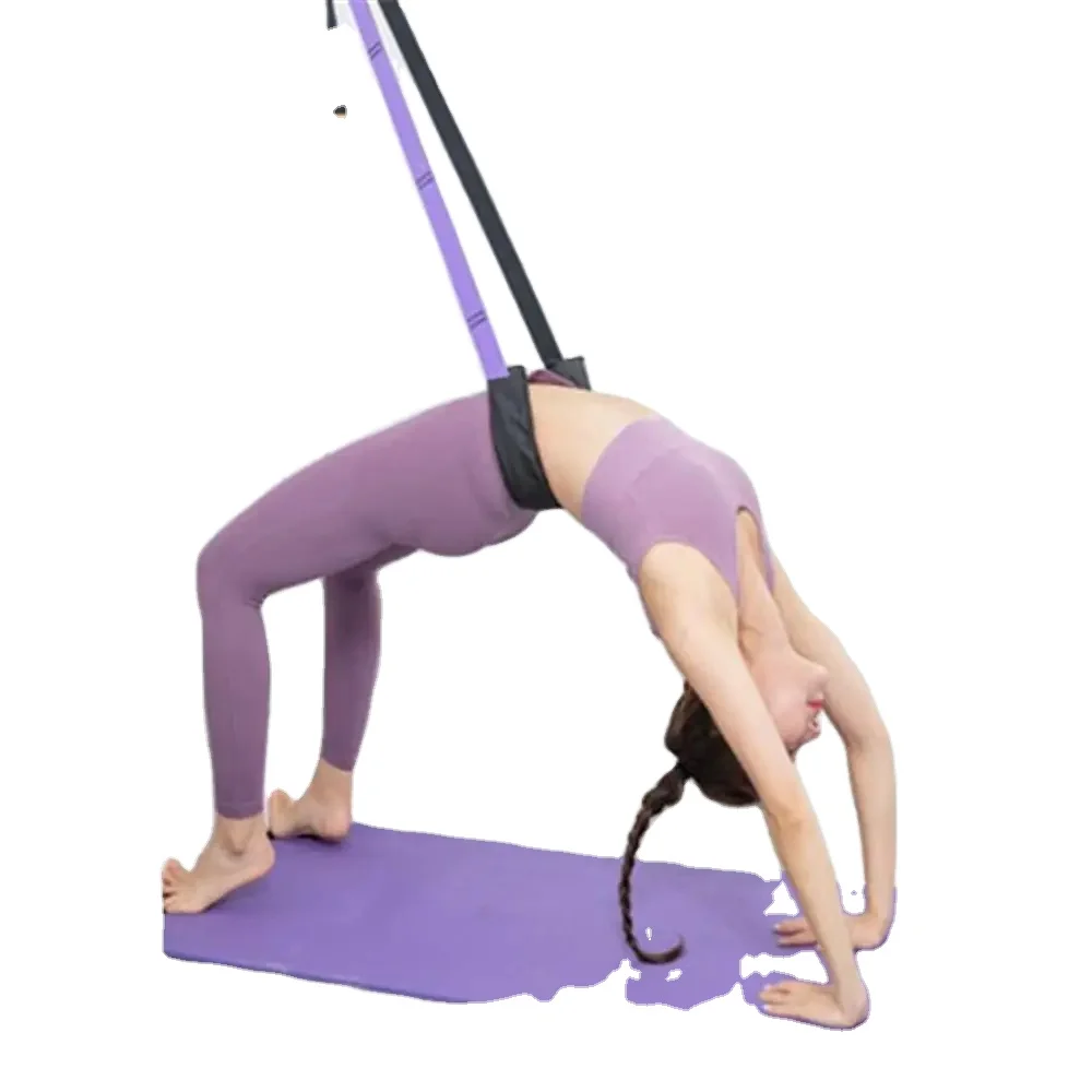 Adjustable Aerial Yoga Strap on Door, Swing Stretching Belt, Anti-Gravity Inversion Exercise Belt, Flexibility Trainer THANKSLEE