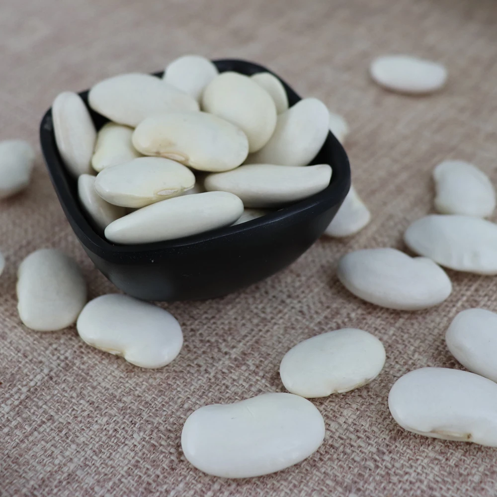 Best Big White Bean Dried White Kidney Bean Sugar Bean