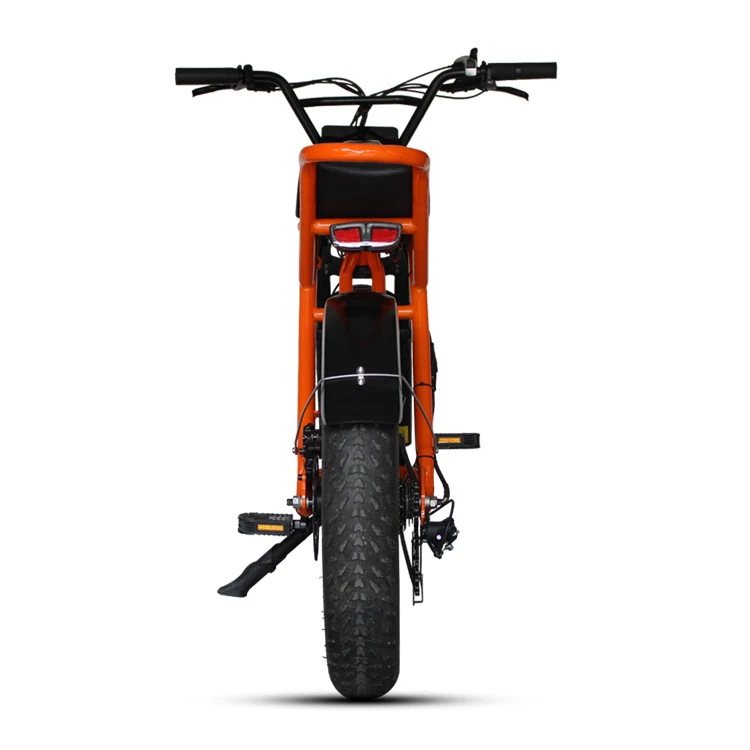 DYNALION High performance fat tyre e-bikes 48V 1000W motor 48V 16Ah Li Battery steel frame disc brake LCD display