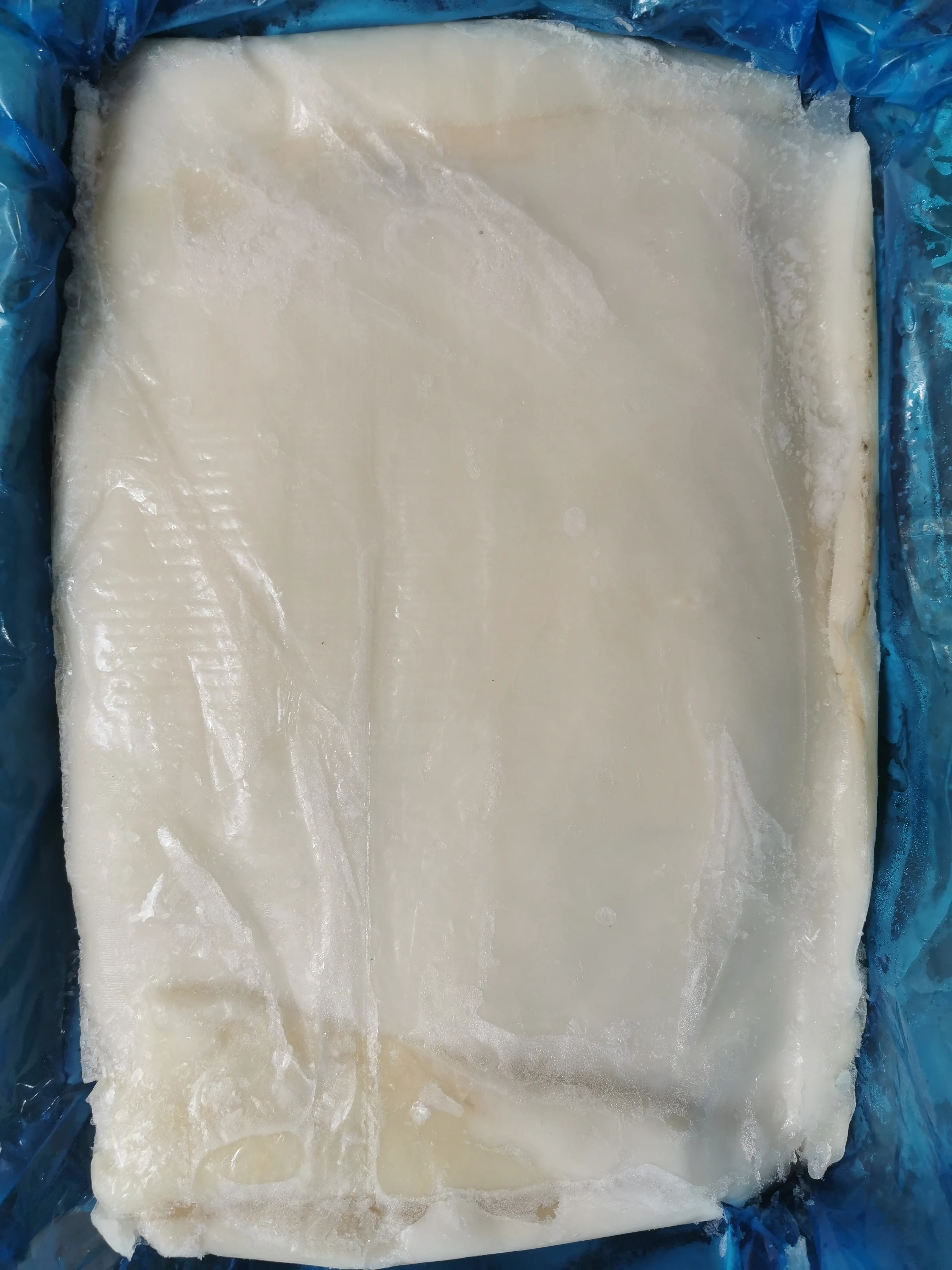 Frozen Squid Fillet Skinless