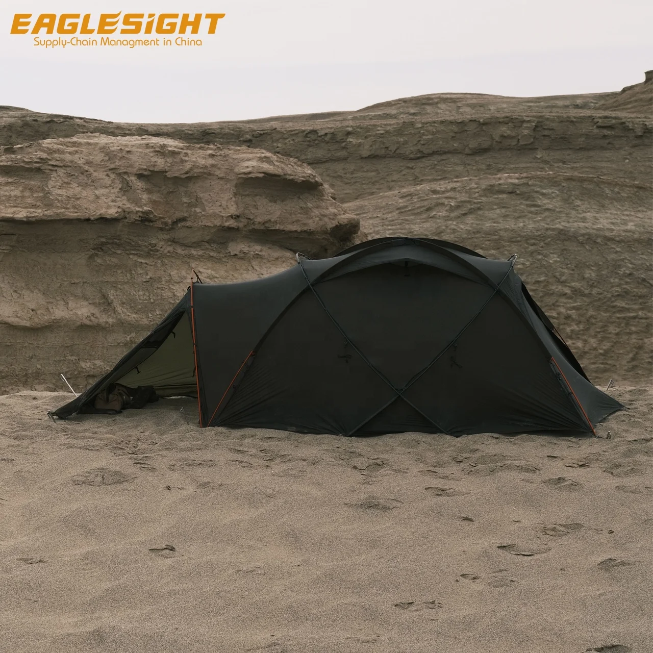 High quality 2 Person 4 Season Mountaineering Tent waterproof and windproof carbon fibre Pole Alpine Tent for outdoor hiking