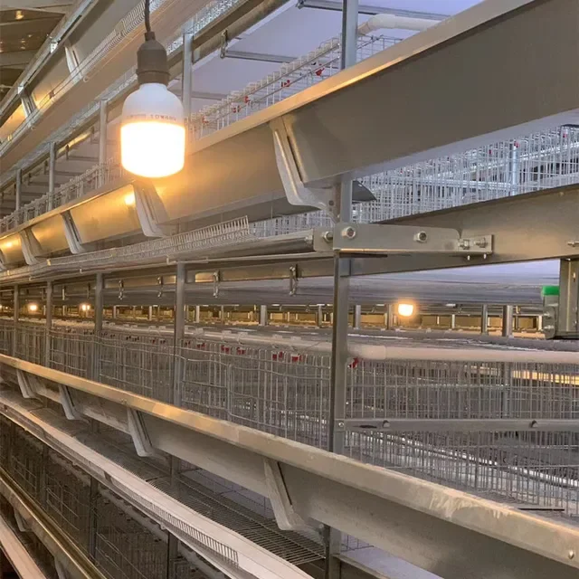 Wholesale Price Full Automatic H-Shaped Chicken Cage For Farm Use
