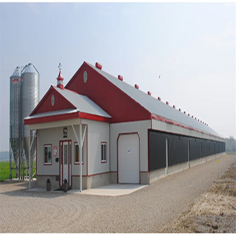 Сборные стальные конструкции бройлеров разведение птицефабрика сарай дома дизайн
