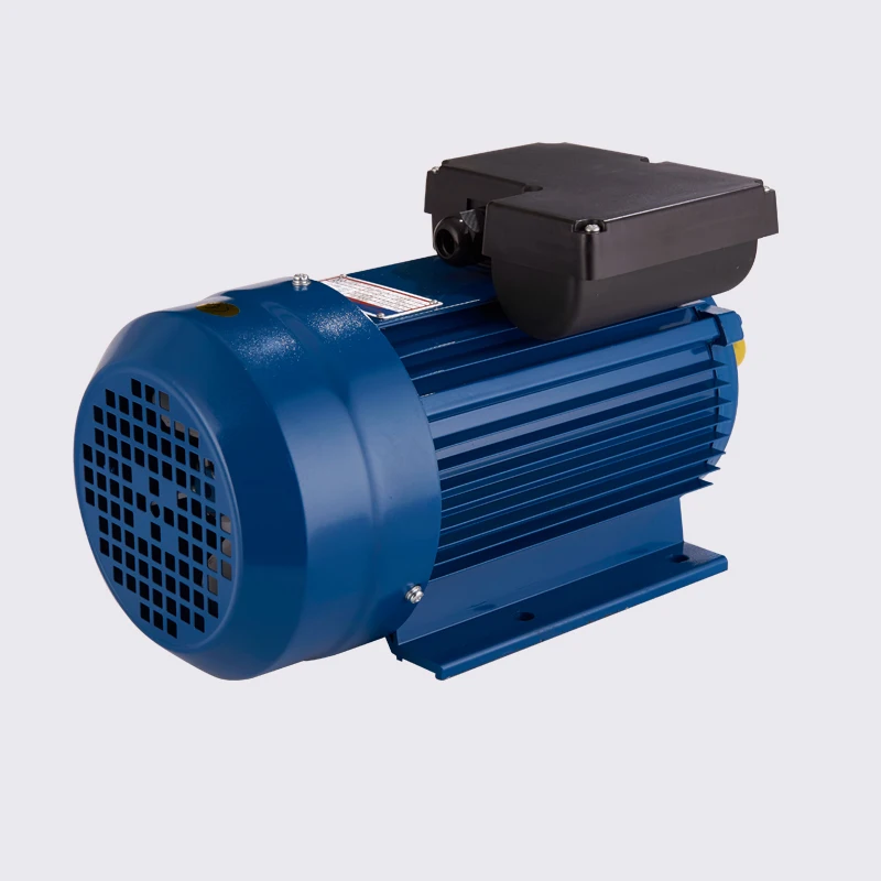 single-phase electric motor