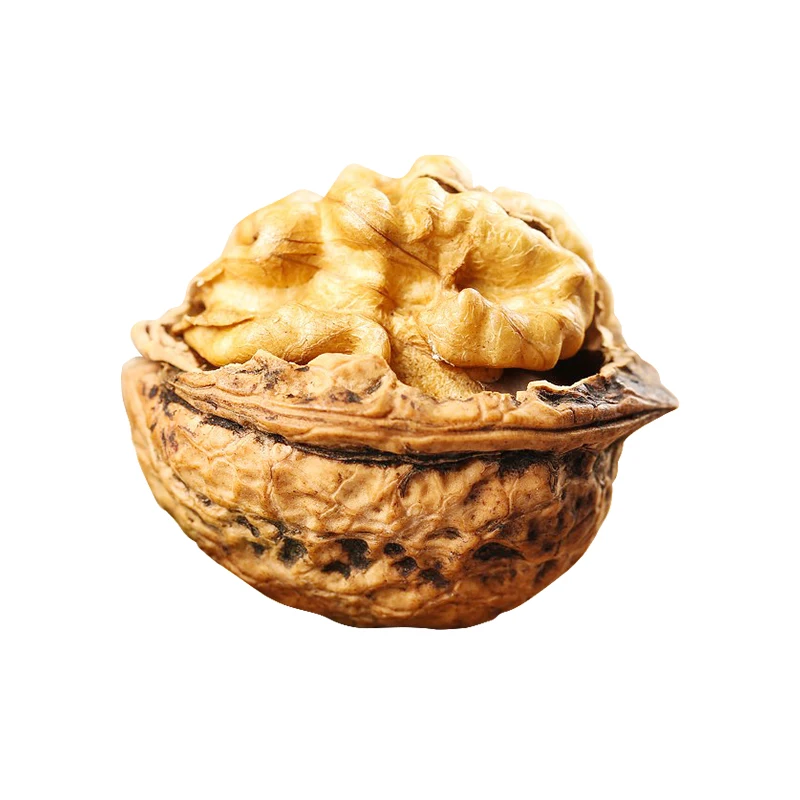 Premium quality walnuts for kazakhstan Cheap price raw walnuts for export Factory direct sales walnut snack