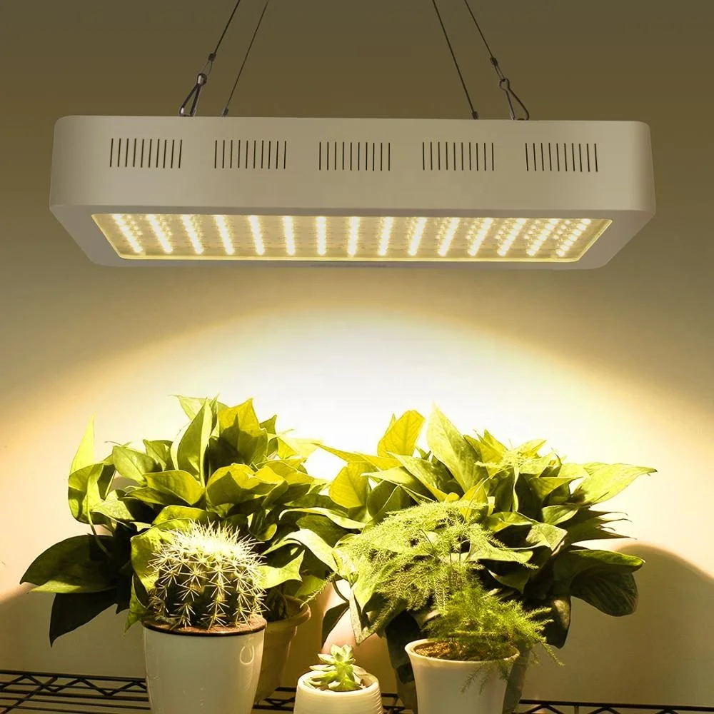 Hot Sale Full Spectrum 600W LED Indoor Aquaponic Growing Systems LED Plants Grow Light