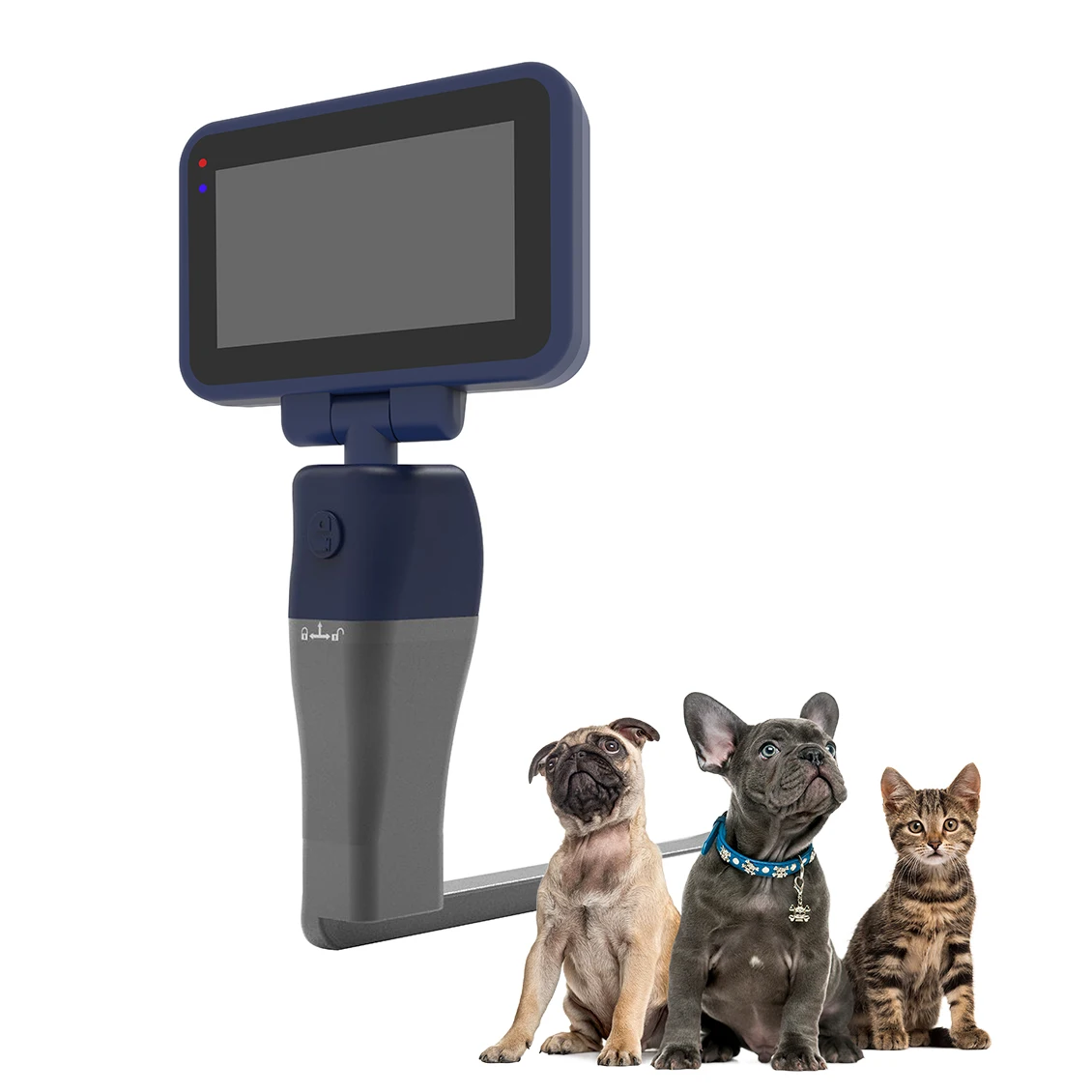 Excellent Quality Veterinary Portable Reusable Video Intubation Laryngoscope For Ent Operating Room