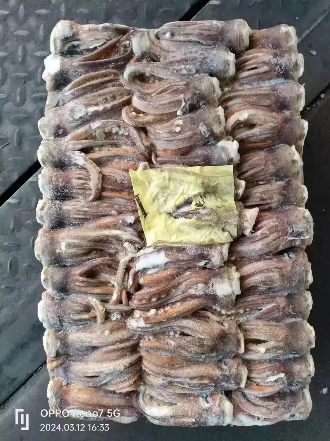 From Taiwan Wholesale Raw Meat Processing Calamari Tentacles Material Argentina Frozen Illex Squid Head