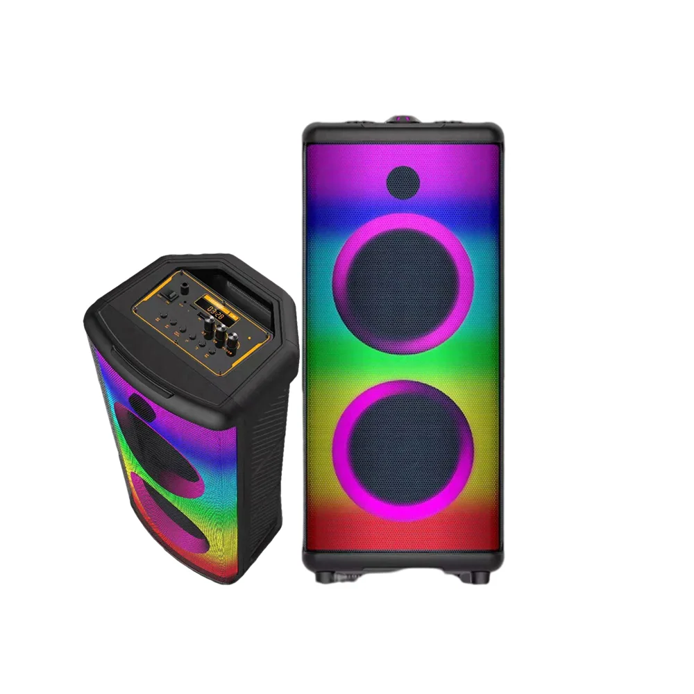 Double 6.5 Inch Karaoke Party Dj Speaker With Display Screen And Two Wireless Mic