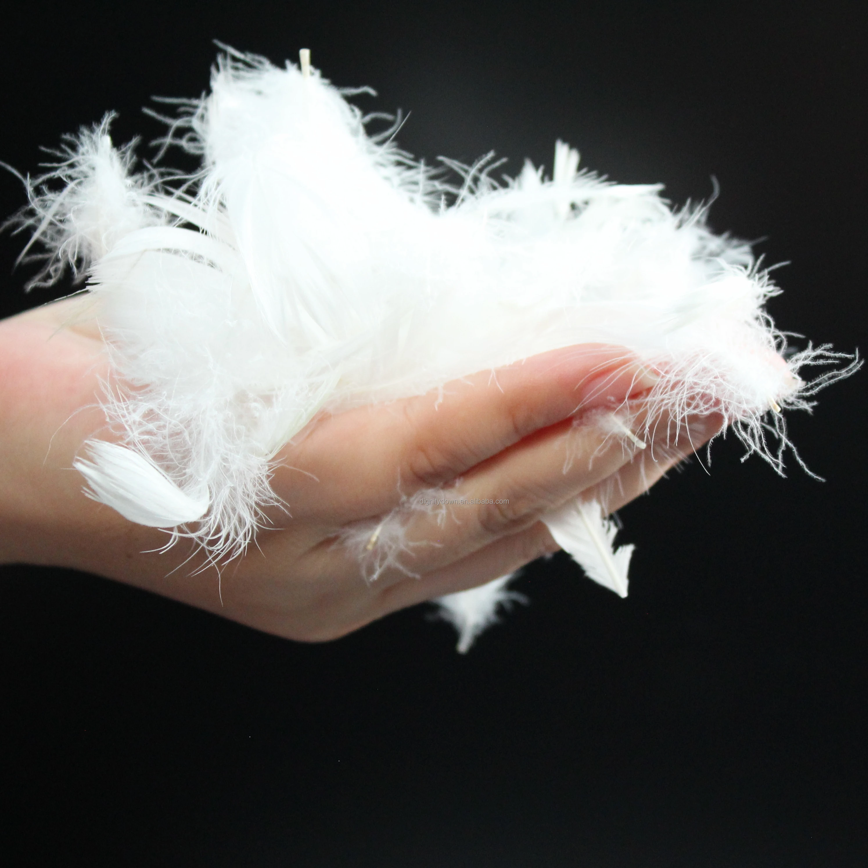 Wholesale High Quality Duvet and Pillow Filling material Washed Soft White Goose Feather 4-6cm Goose Down Feathers