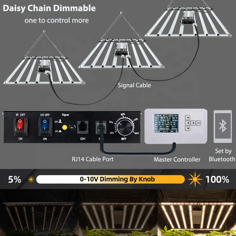 Daisy Chain 800w.jpg