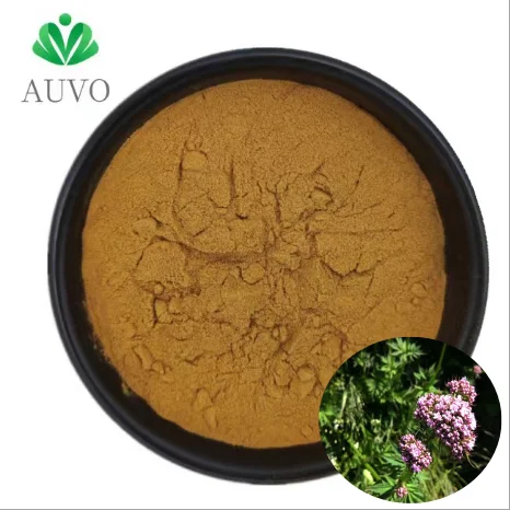 Valerian Root Extract Valeriana Officinalis Extract Valeriana Officinalis Root Extract