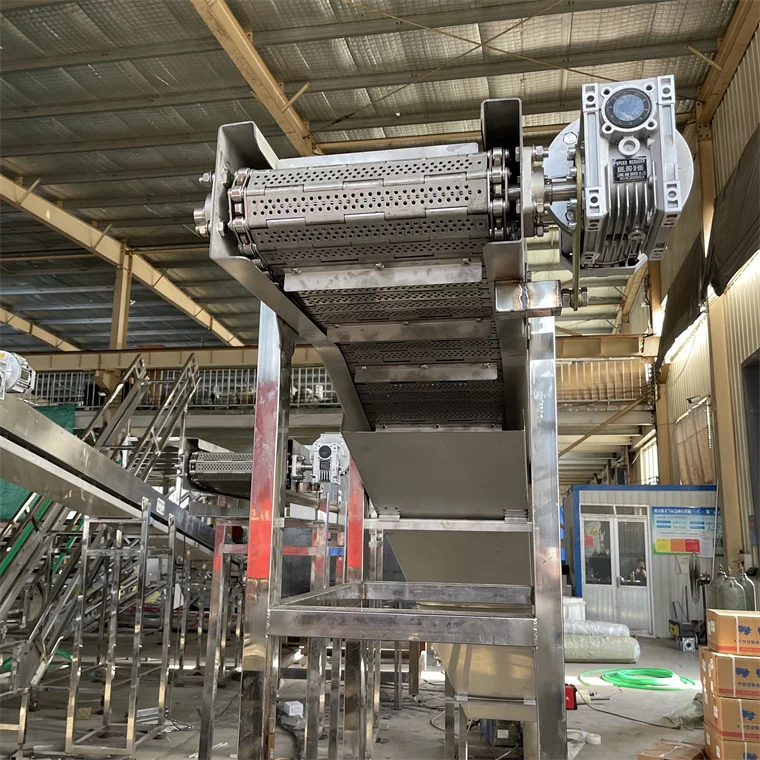 stainless steel  chain plate elevator  food conveyor