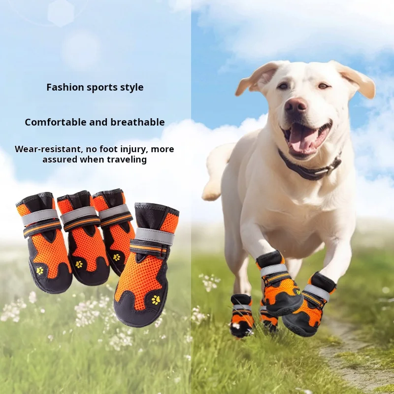Luxury English Color Contrast Dog Sports Shoes for Medium to Large Dogs Fashionable and Functional Pet Footwear