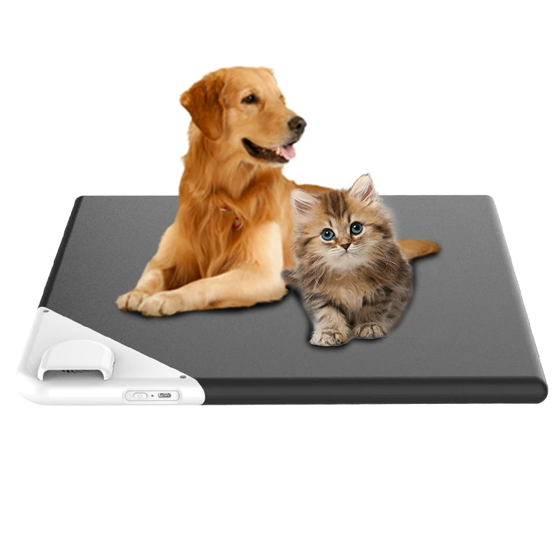 6.5 Pet Shop Dog Cooling Mat Pet Cooling Mat Keeps Dogs and Cats Comfortable All Summer  Ideal for Home and Travel