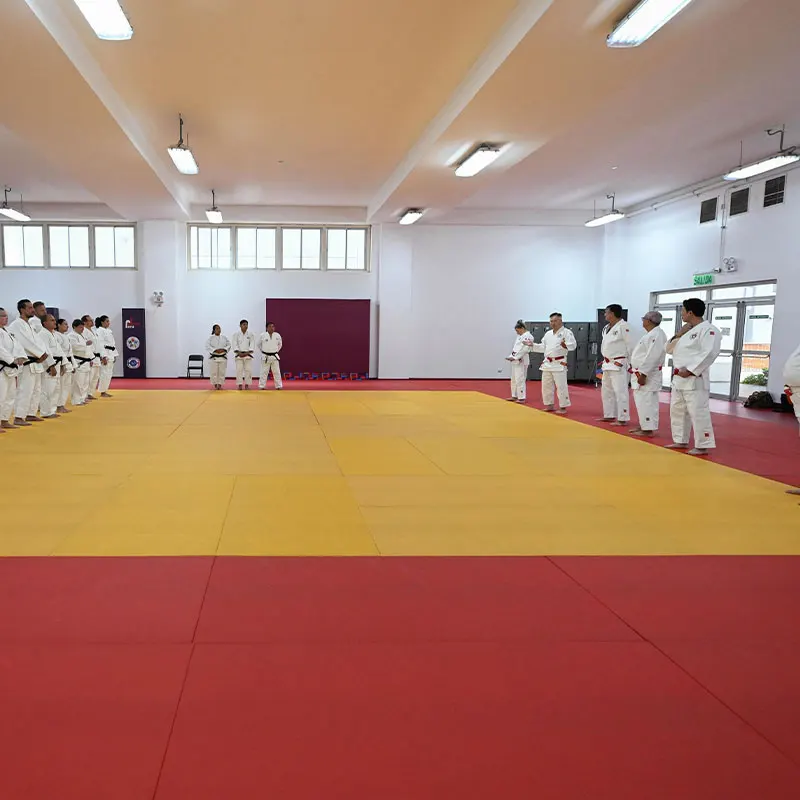 IJF Certified 1m x 2m x 4cm Tatami Mat: Professional Sport Floor Mat for Judo, Karate, Jiu-Jitsu, Kung Fu, Grappling, and Aikido