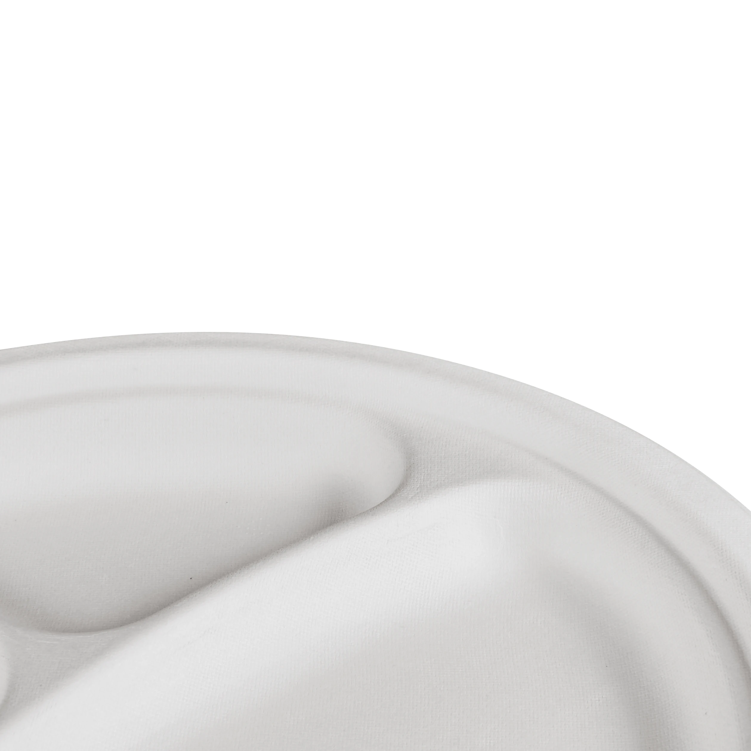 Biodegradable Food Eco-Friendly Natural Paper Take Away Pizza Disposable Paper Plate