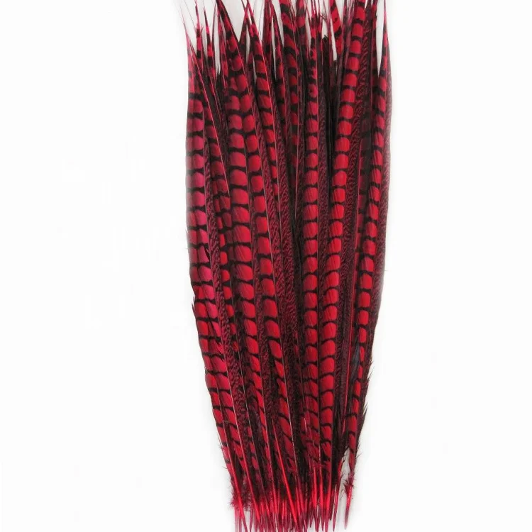 Customized High Quality Bleached Dyed Lady Amherst Pheasant Tail Feathers