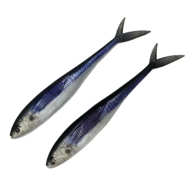 Plastic Soft Fishing Lure Shad Lures Rubber Shad Lures Soft Plastic Minnow  Fishing Tackle Bass Worms Soft Plastic Shad