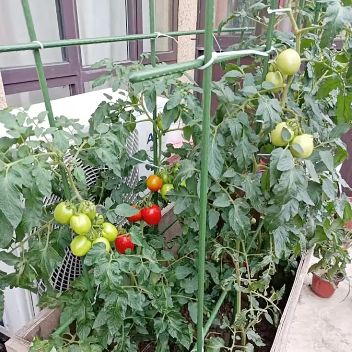 Plant Stakes Garden Tomato Sticks Supports For Potted Cucumber Strawberry Bean