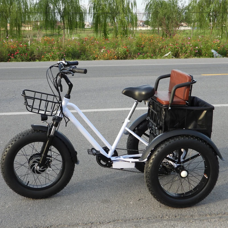 Stock Power Snow Electric Bicycle Big Three Wheel E Trikes Ebike On Sale Fat Tire Tricycle Cargo Bike Tricycle Electric Adult