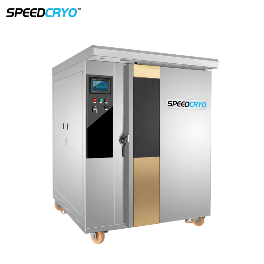 Quick Frozen Shock Freezing Deep Cryogenic Fast Plate IQF Industrial Mini Small Air Blast Freezer