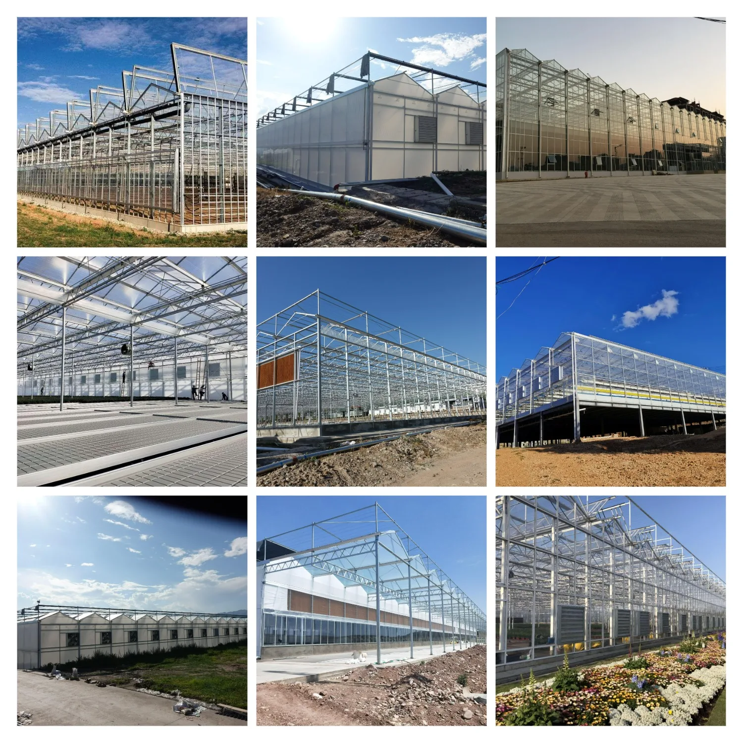 Jiapei Factory Wholesale Multi-span  Greenhouse Tomato Smart Green House Turkey Project