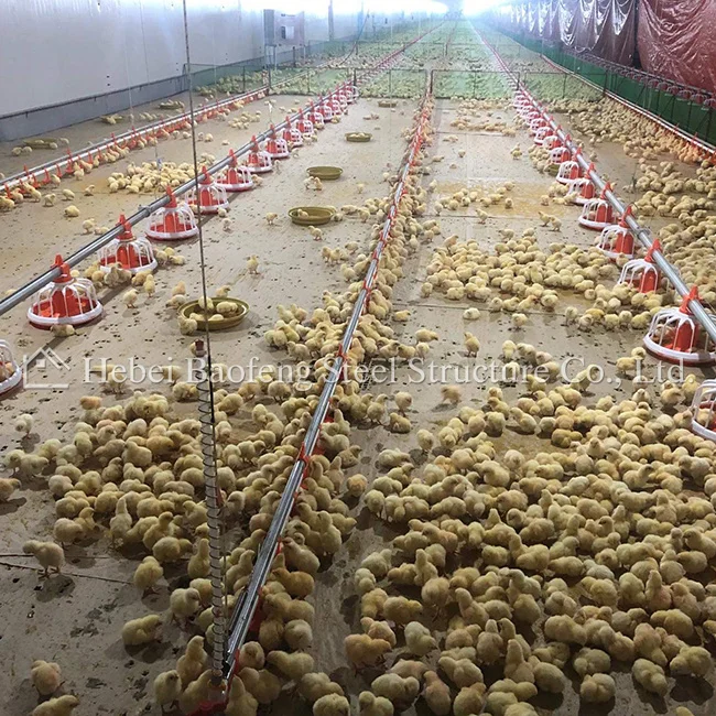 Modern Design Prefab Steel Structure Chicken Poultry Farm  For Sale