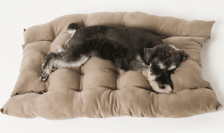 UFBemo hot sale PP Cotton High Quality Custom Small Doggie Bedding Washable Luxury Puppy Pet Dog Bed