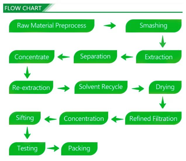 HTB1UBT4beuSBuNjy1Xc763YjFXa7