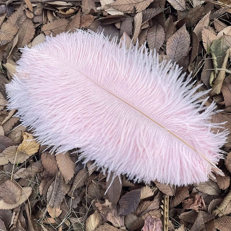 Amazon Hot Sale Natural Ostrich Feathers 12-14inch (30-35cm) for Wedding Party Centerpieces,TOYS0942