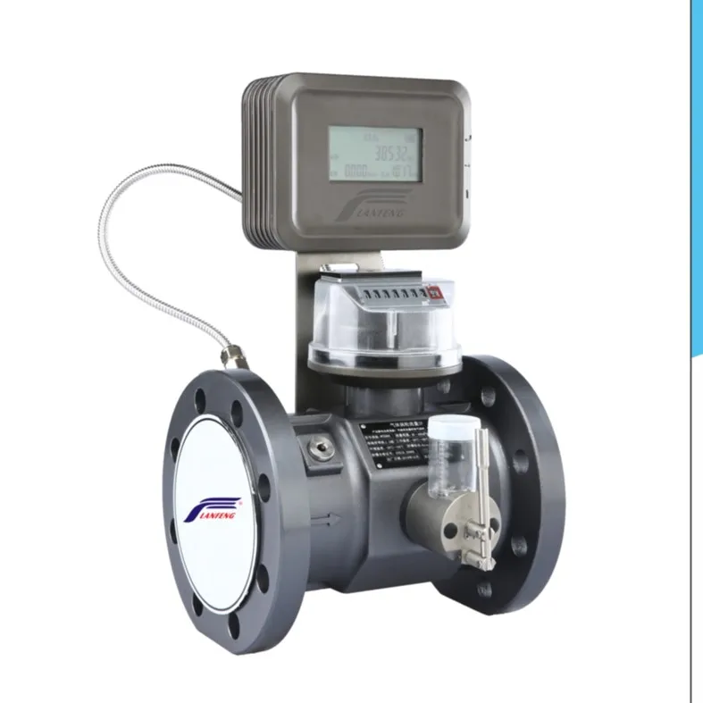 Gas Meter Rotary Meter Natural Gas Flow Meters Digital Gas Flowmeter