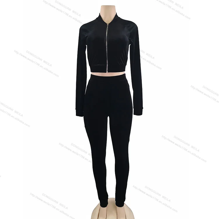 Best Sellers High Quality Velvet Comfortable And breathable Zip Sweatshirt Two Piece Set Tracksuit For Women