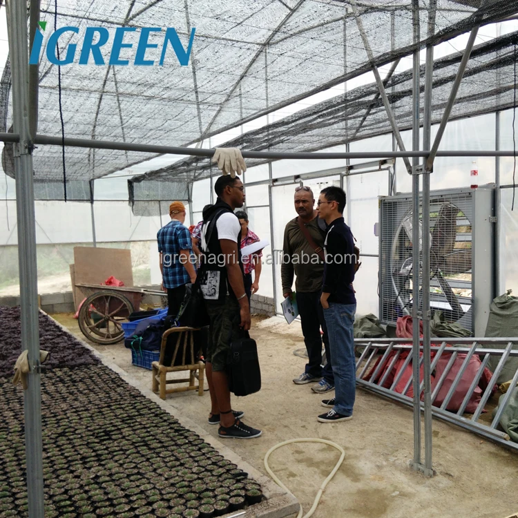 Тропическая теплица на крыше сделано в Китае