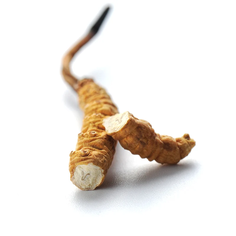 3000pcs per kg pure wild Nagqu Top grade Cordyceps sinensis L size