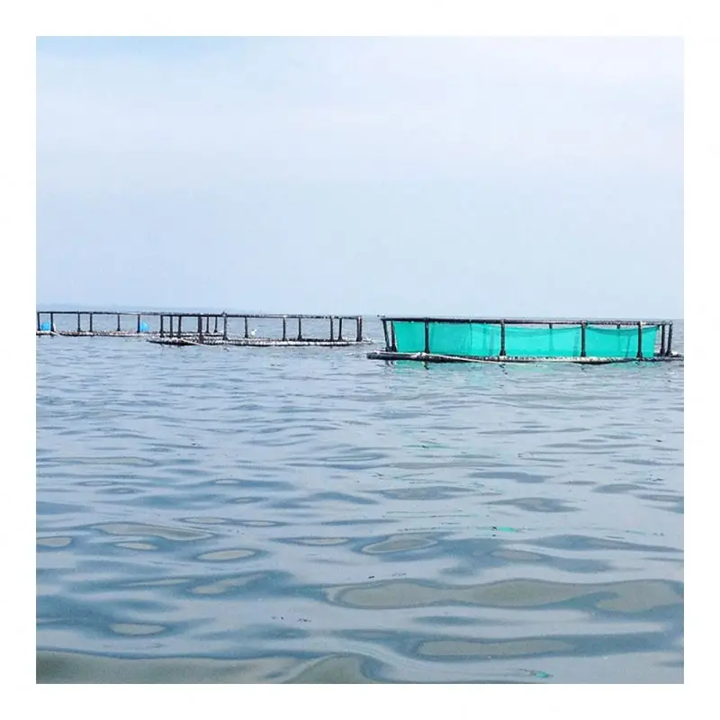 Aquaculture Traps Product Type and Fish Use offshore fish cages deep water open ocean