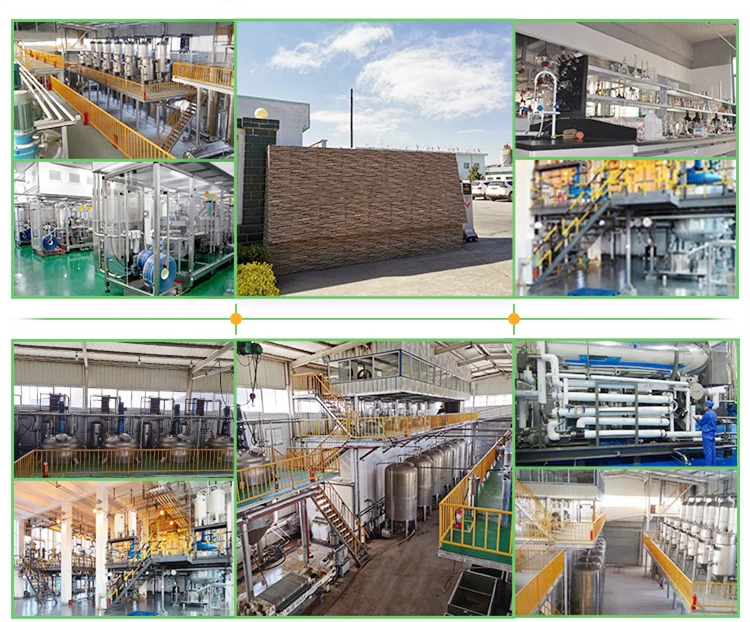Factory Supply Phosphorous acid price 98% phosphorous acid powder
