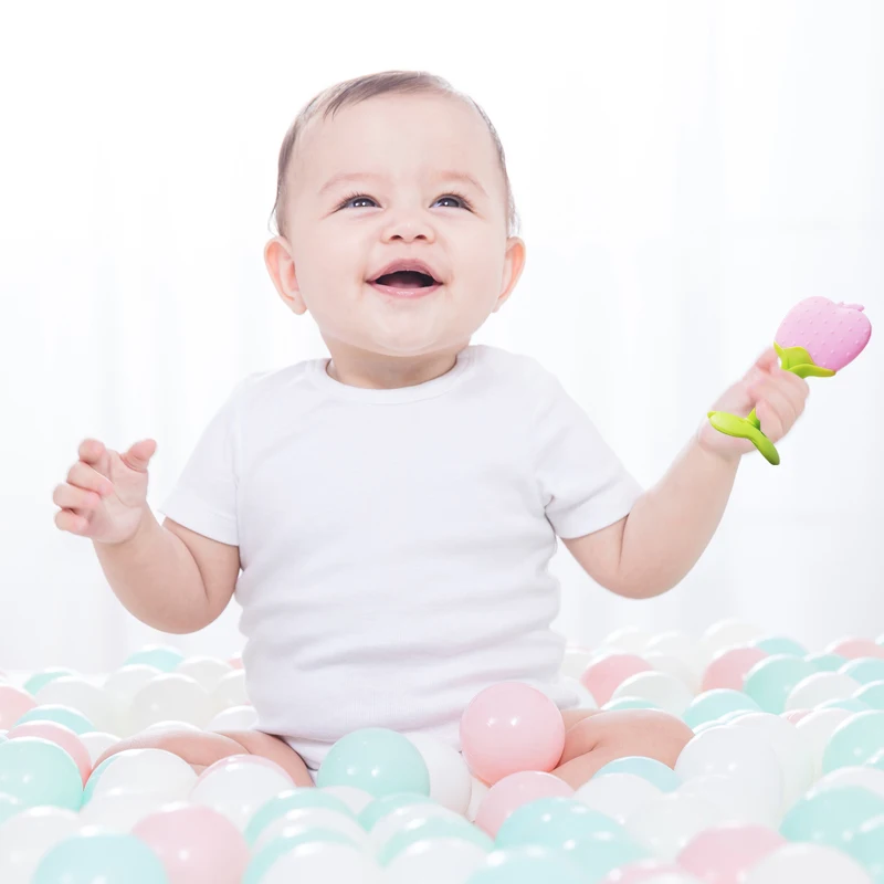
Silicone Fruit Shape Baby Teether For Teething Infant Soother with PP case 