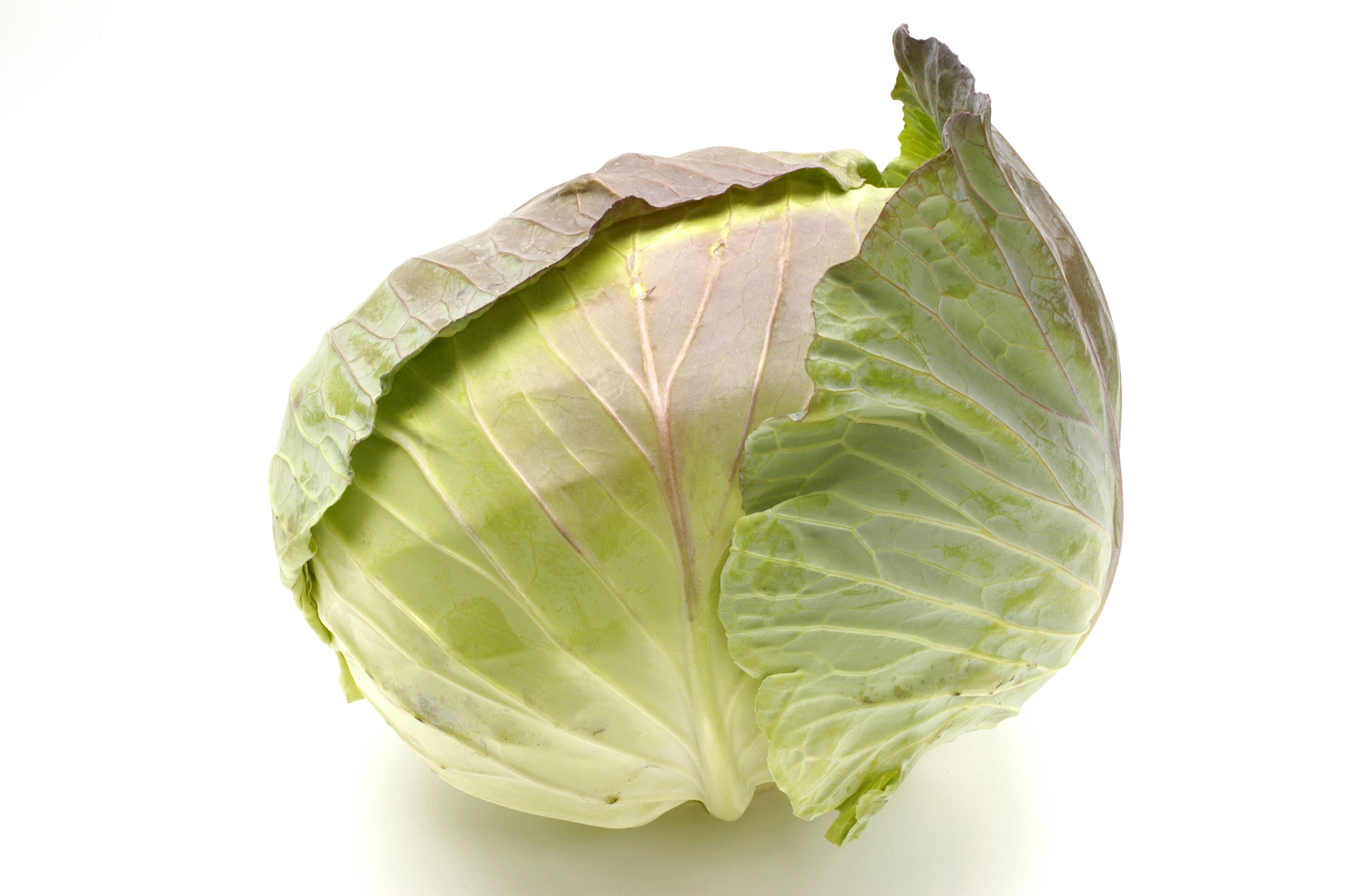 
New Chinese 2020 crop ball shape cabbage zhangjiakou origin 