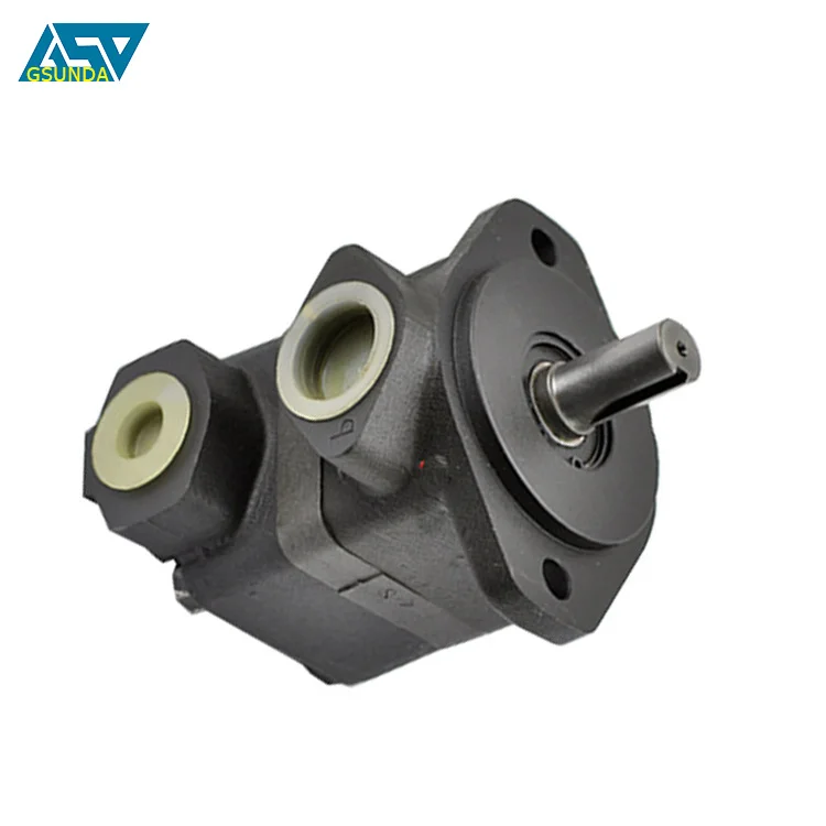 OEM заказной гидравлический насос V20-1P11S-1B-11L пресс бустер pumpV20-1B9B-62C-11EN-100 лопастной SV20-1P11P-1B2