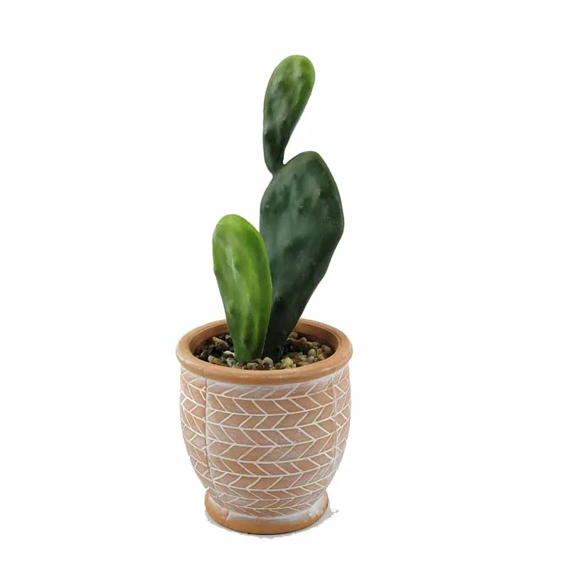Wholesale high quality artificial cactus with best price greenery