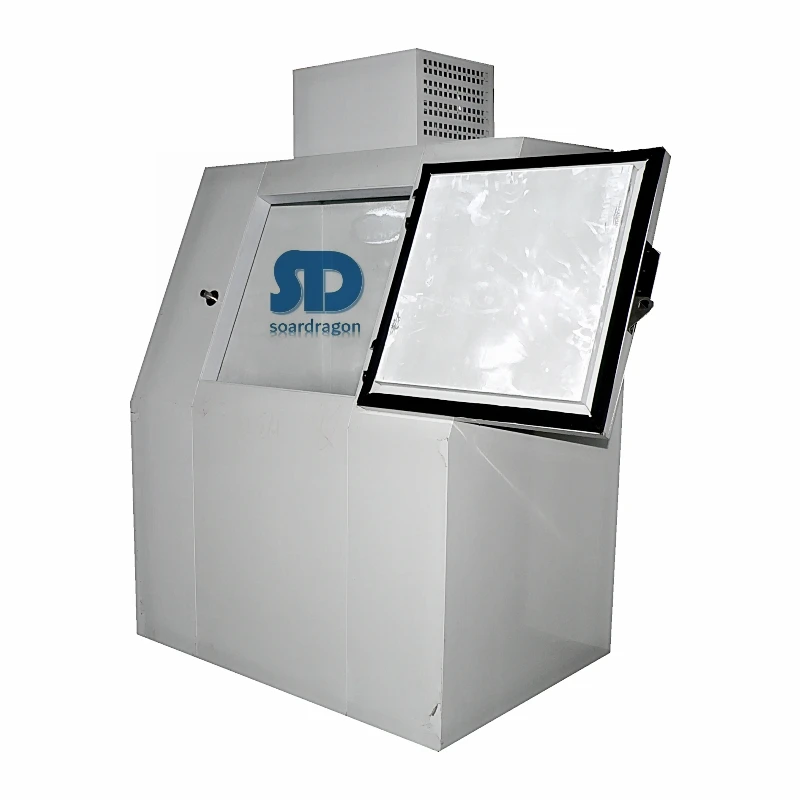 Soardragon Ice Storage Merchandiser Bags Ice Freezer Cabinet Single Glass Wheel / Stainless Steel Leg Freezers display Cooler
