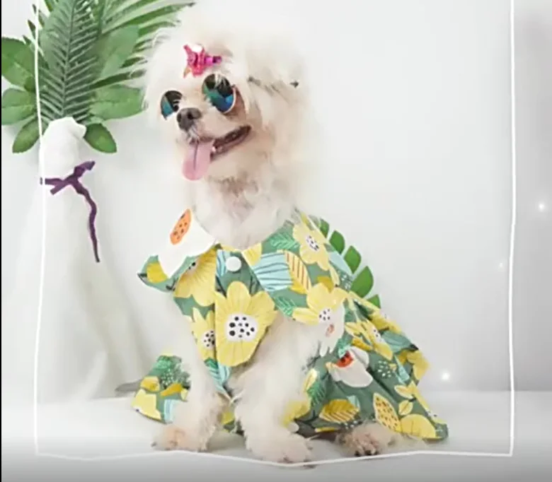 Customized Doll Collar Cute Print Group Brand Designer Luxury Dog Clothes For Large Dog