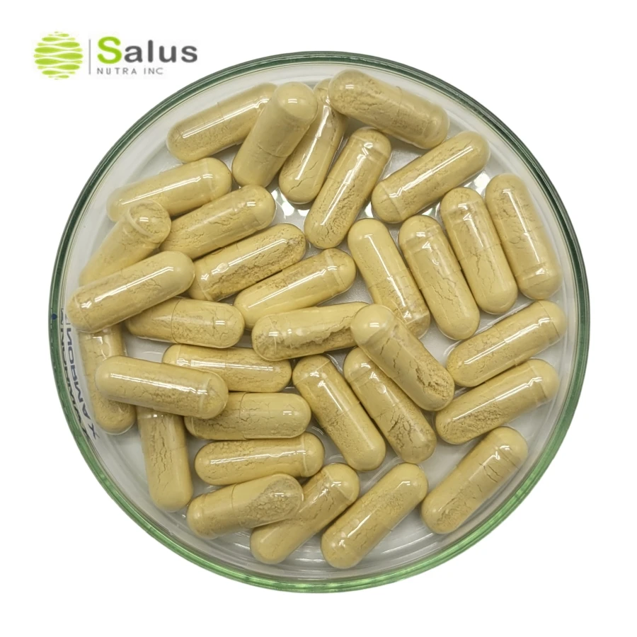 St Johns Wort Capsules Supplement ISO22000 and HALAL Certified Products