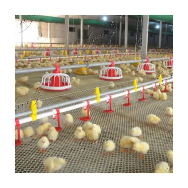 Hot sale high quality automatic chicken nipple drinking system